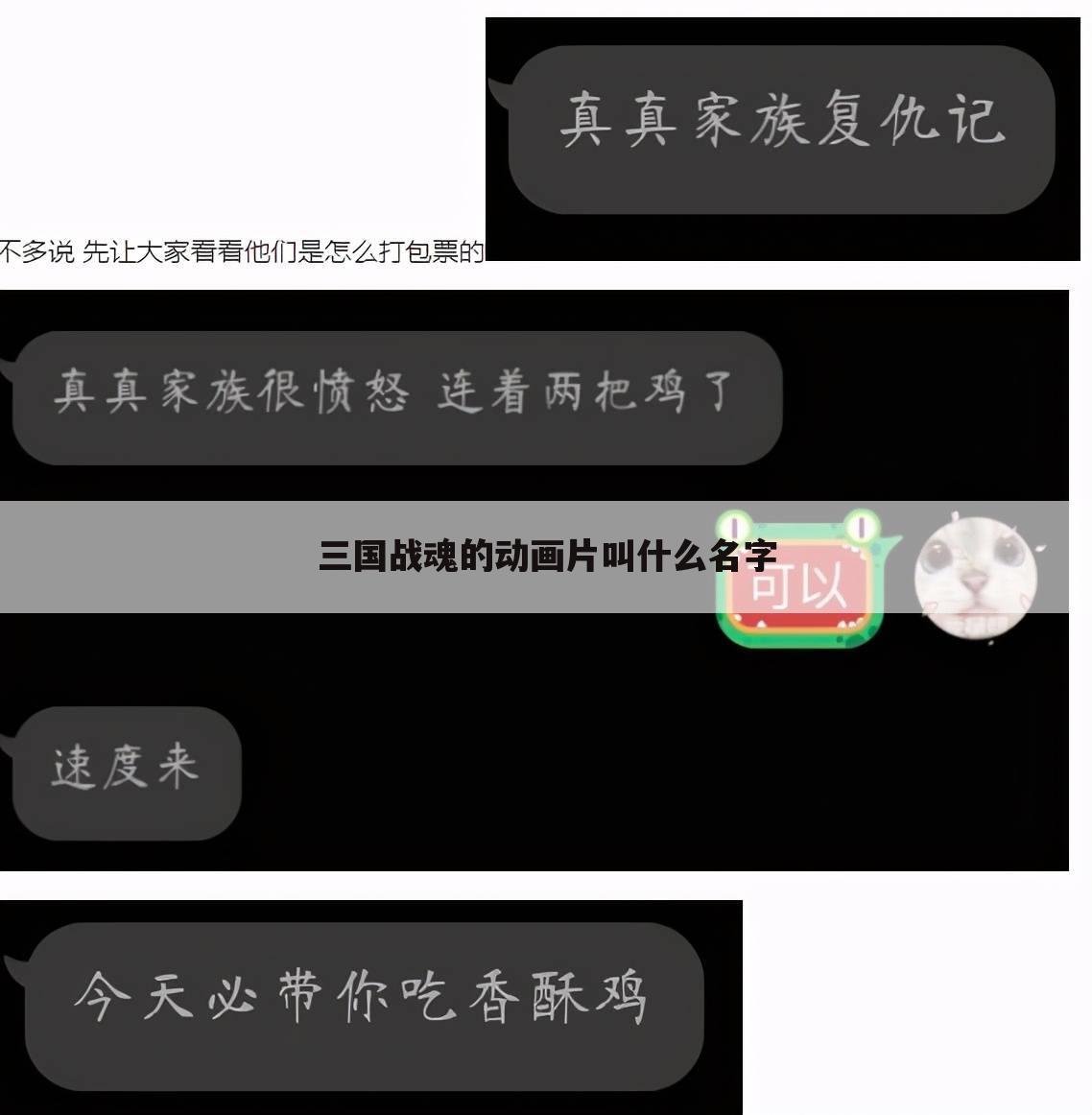 三国战魂的动画片叫什么名字